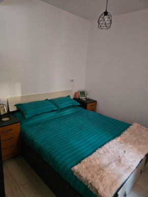 Luxury 1 Bedroom Apartment